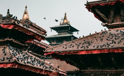 Pigeons on traditional pagoda rooftops in cultural Kathmandu, Nepal.